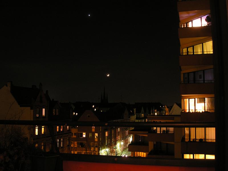 Linden at Night.JPG